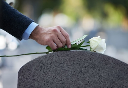 white rose being placed on headstone