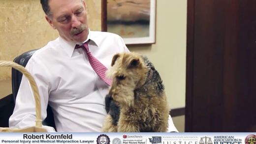 Kernfeld with dog